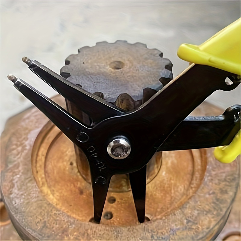1PC 2-in-1 Spring Compressor P - Spring Compressor Tool 评论和价格